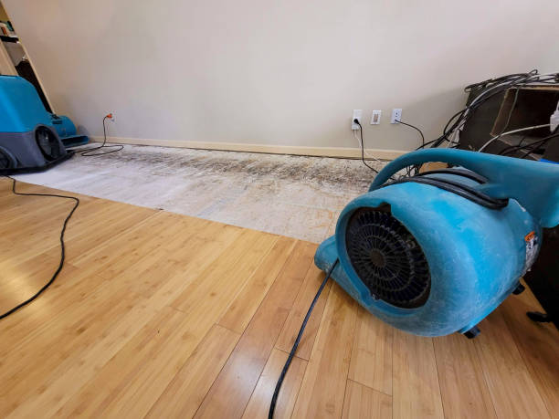 Professional Sewage Cleanup technician working in Upper Marlboro, MD